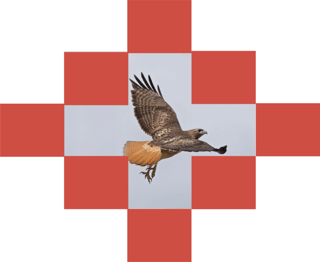 Kitsay Hawk Pattern